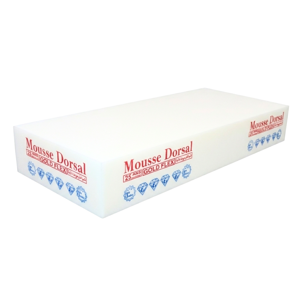 Matelas en Mousse Dorsal